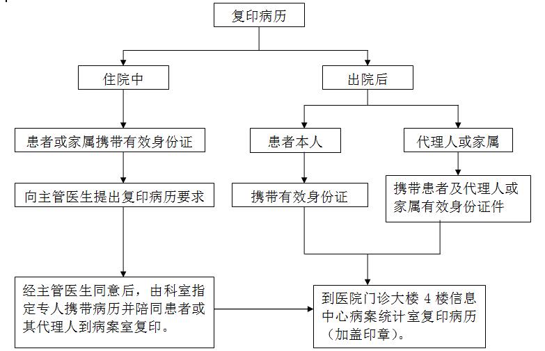 QQ截圖20190325101322.jpg